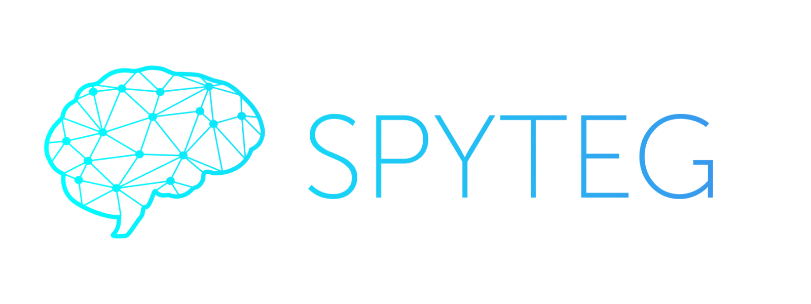 Spyteg